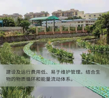 人工濕地示范工程 人工濕地示范工程