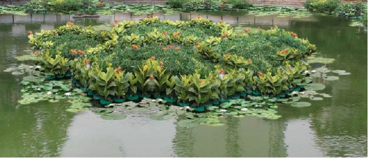 1614759078837913.jpg 1614759078837913.jpg