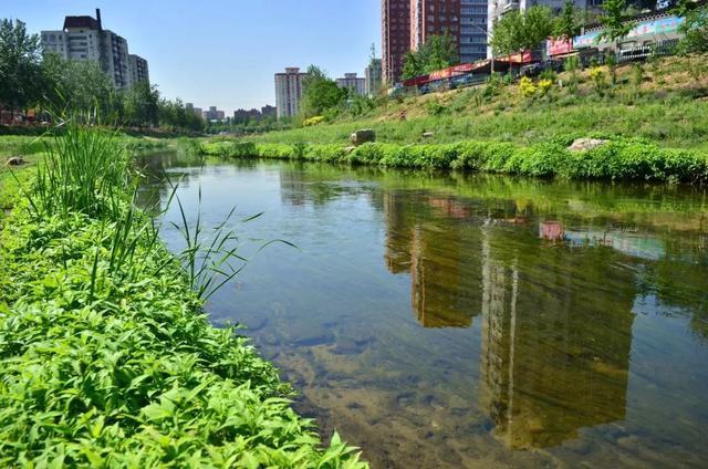 1624841426897418.jpg src=http___5b0988e595225.cdn.sohucs.com_images_20190114_e6a52ec64b364f7583961c7ee2f76935.jpeg&refer=http___5b0988e595225.cdn.sohucs.jpg