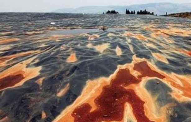 1625620782430850.jpg src=http___www.gtss.cn_upload_editor_image_20200427_20200427181709_6066.jpg&refer=http___www.gtss.jpg