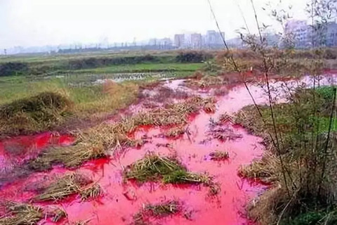 河北華清 河北華清