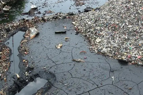 河北華清 河北華清