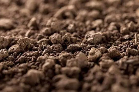 <a href=http://www.zgjkfs.cn/turangjiance.html>土壤檢測</a> 土壤檢測