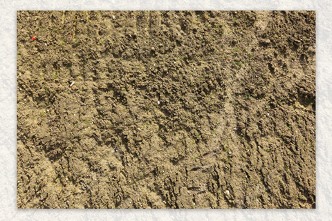 <a href=http://www.zgjkfs.cn/turangjiance.html>土壤檢測</a> 土壤檢測