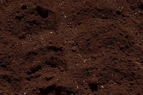 <a href=http://www.zgjkfs.cn/turangjiance.html>土壤檢測</a> 土壤檢測