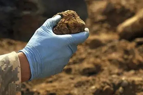 <a href=http://www.zgjkfs.cn/turangjiance.html>土壤檢測</a>.jpg 土壤檢測.jpg